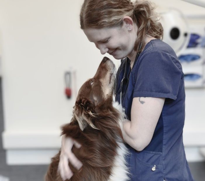 Smådjursveterinären a6's vision, hund som nosar på veterinär